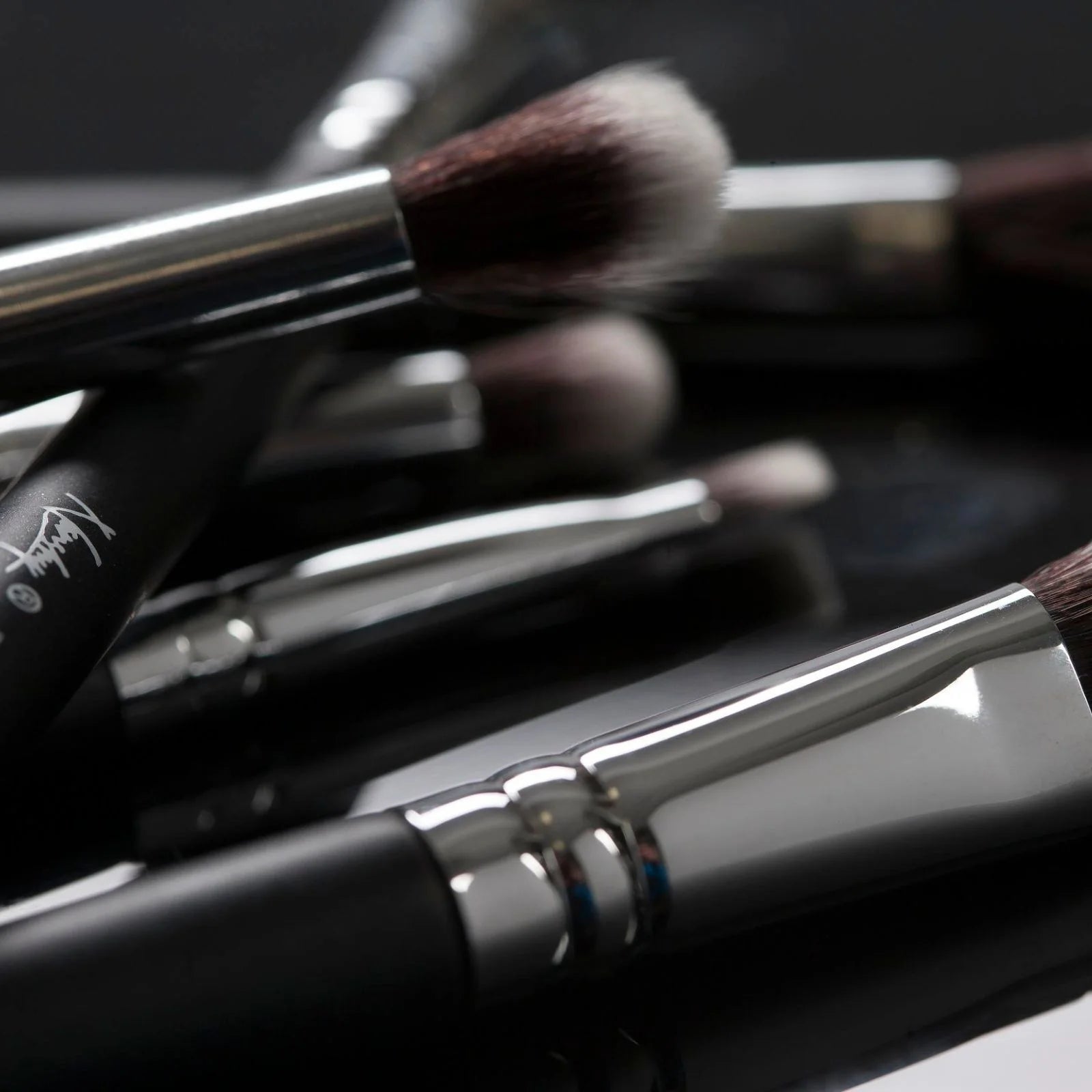 Nanshy Masterful Collection | 12-Piece Professional Makeup Brush Set (Vegan & Cruelty-Free) - Essence Bleu